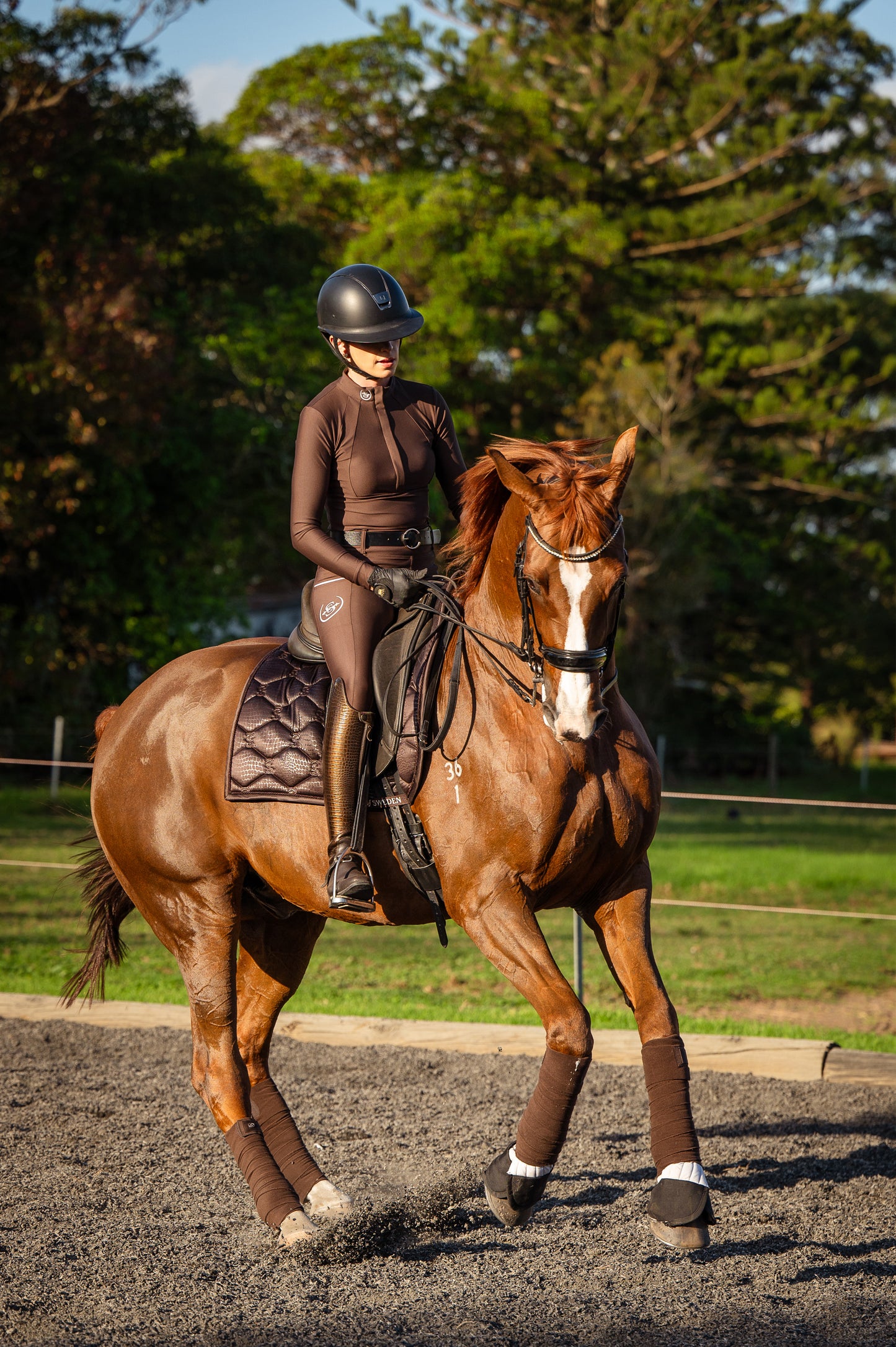 Sculpt Performance Hybrid Breeches: Espresso