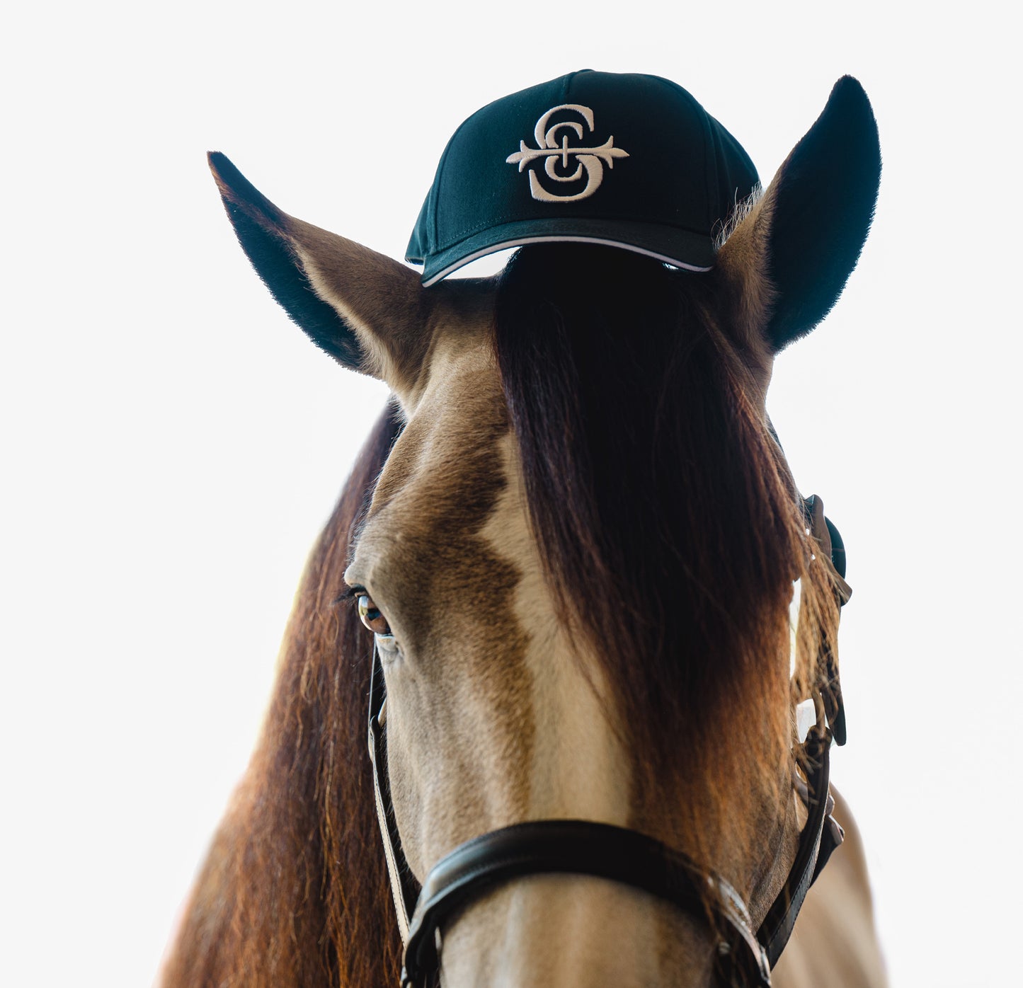 Sabi Emblem Cap: Azurite