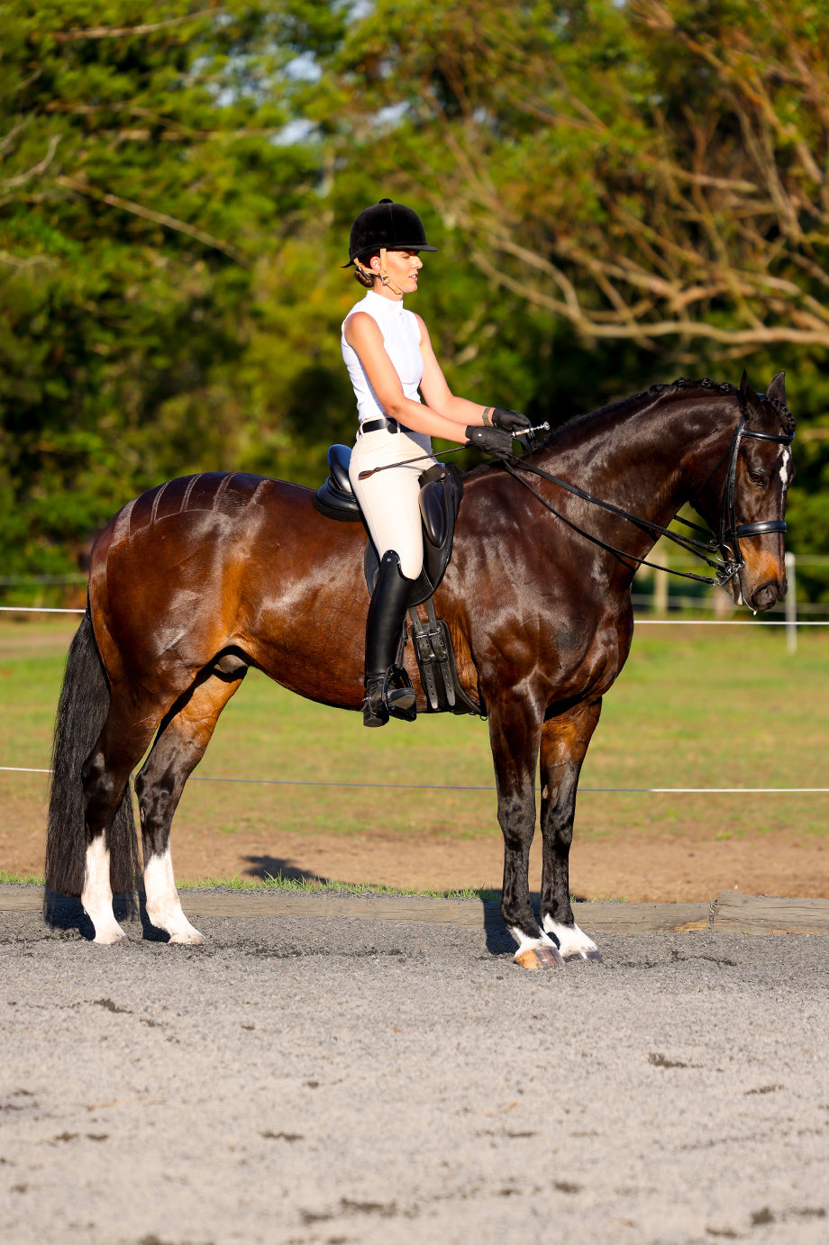 Sculpt Performance Hybrid Breeches: Buttercream