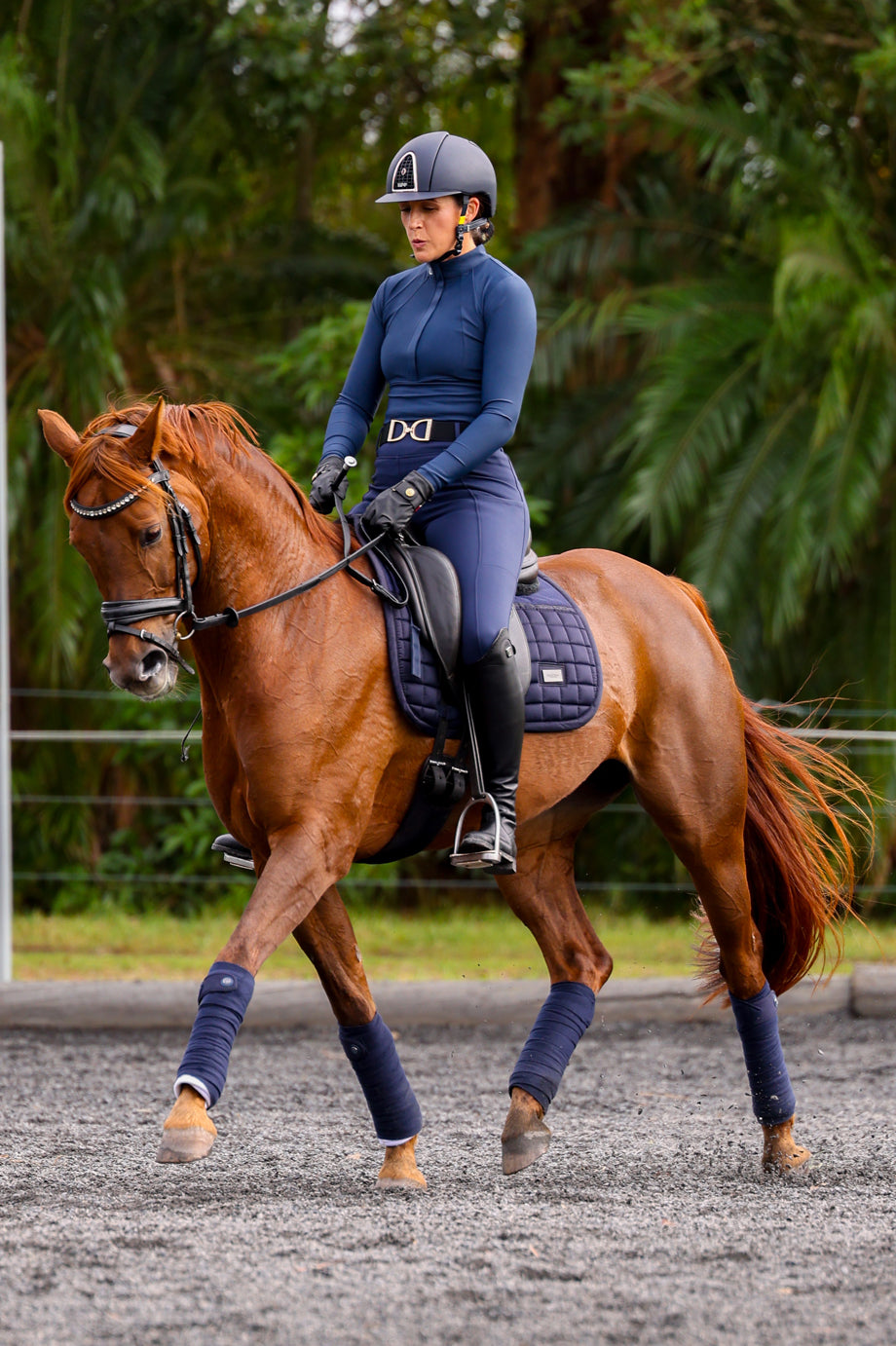 Limited Edition Thermal Tech Hybrid Breeches: Navy Solstice