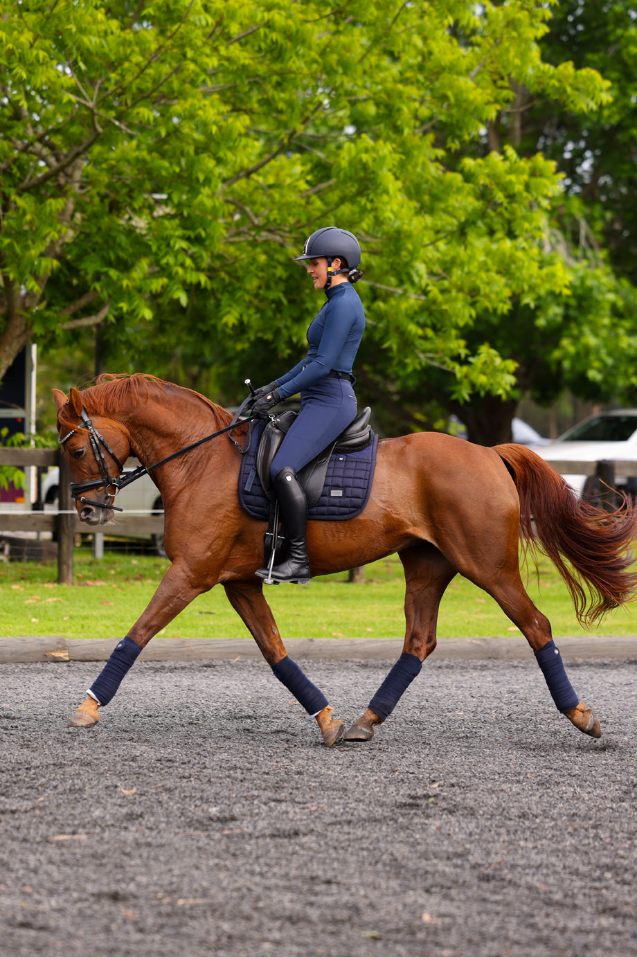 Limited Edition Thermal Tech Hybrid Breeches: Navy Solstice