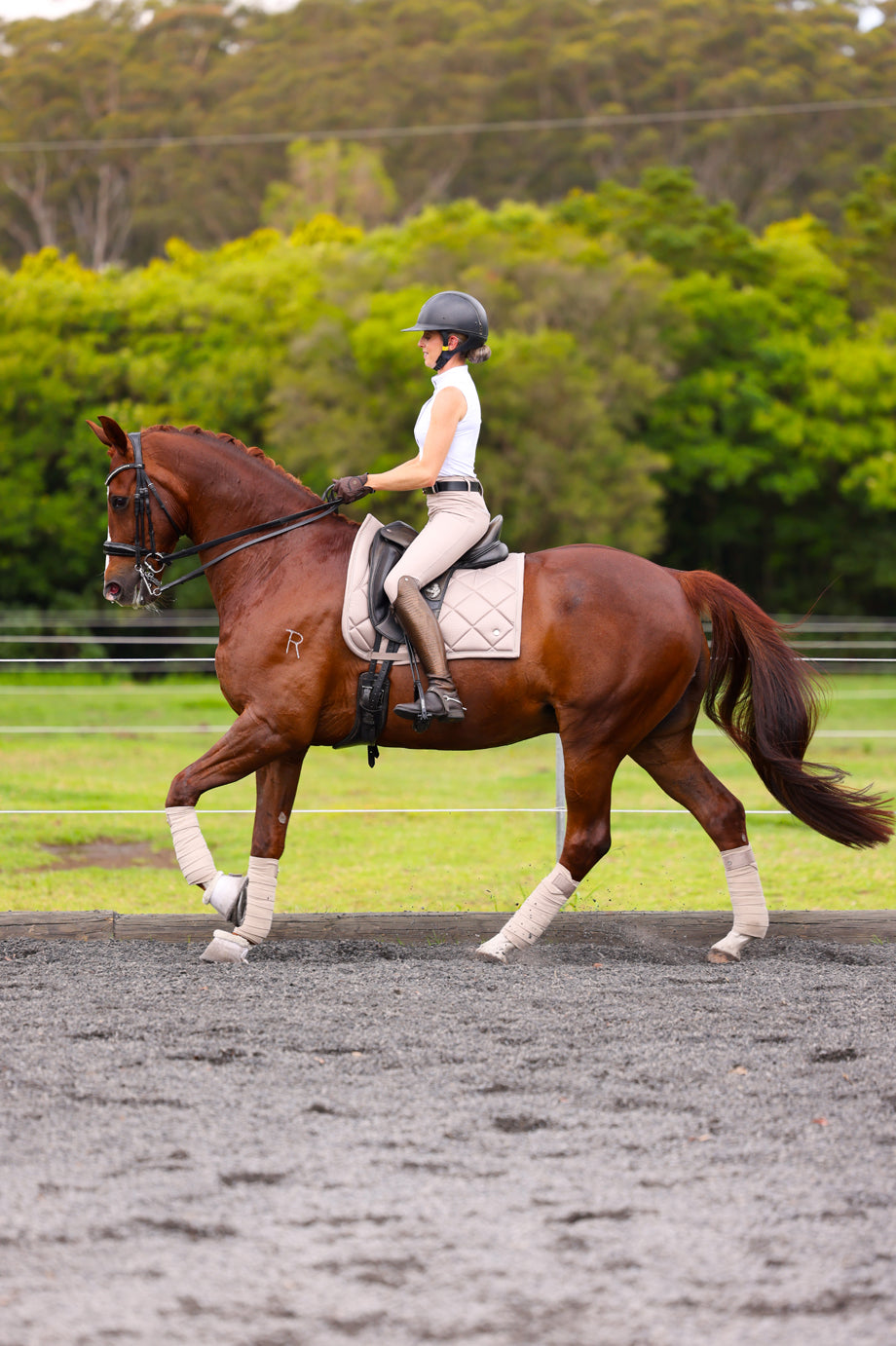 Sculpt Performance Hybrid Breeches: Biscotti Beige