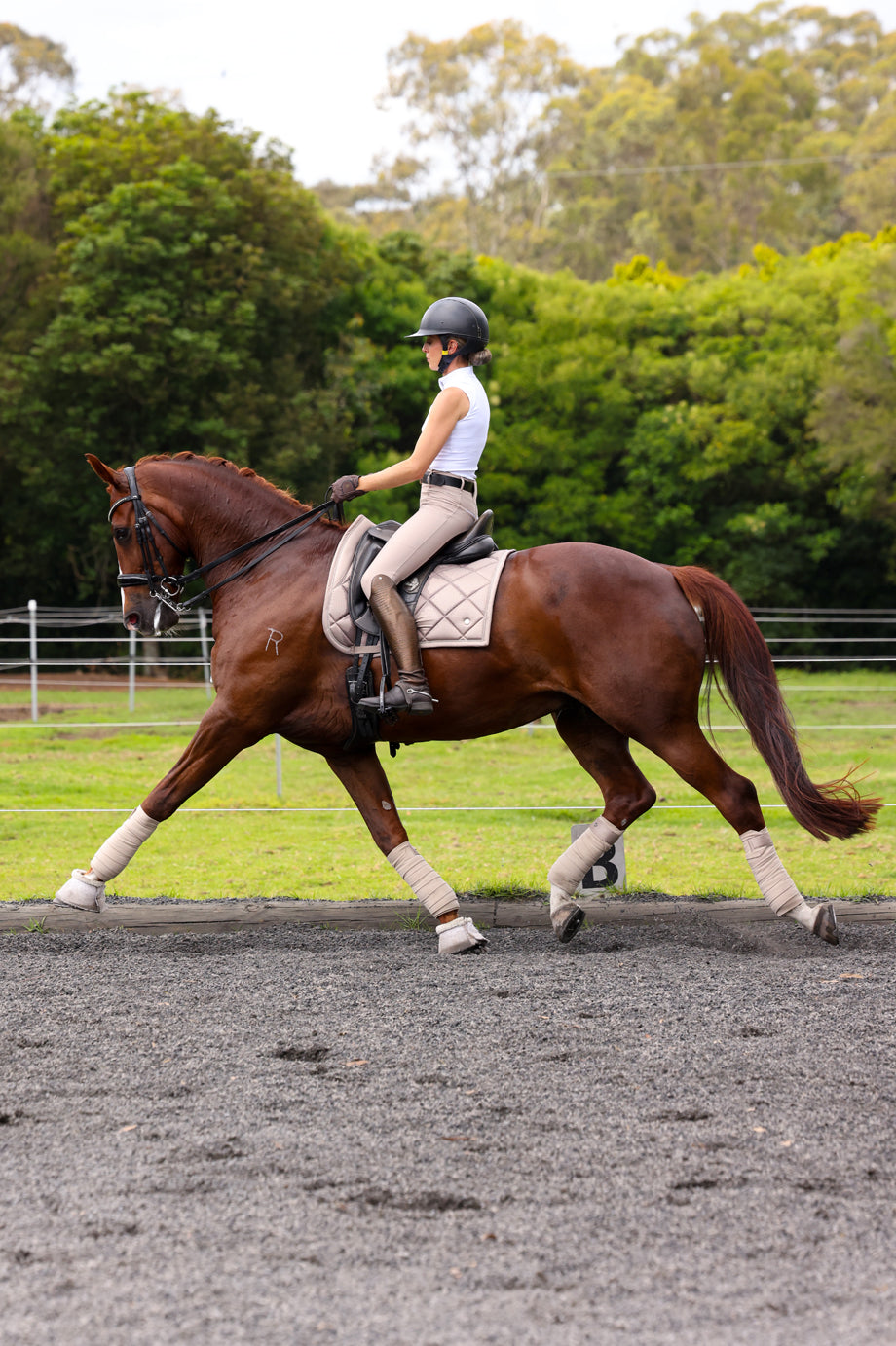 Sculpt Performance Hybrid Breeches: Biscotti Beige