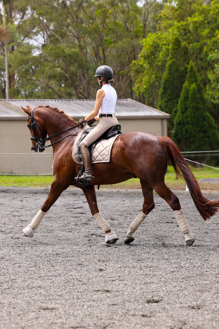 Sculpt Performance Hybrid Breeches: Biscotti Beige